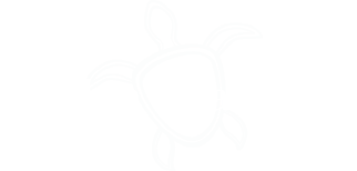 Tordan Healthcare Logo
